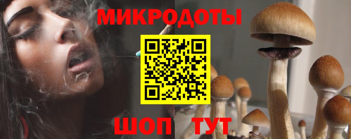Галлюциногенные грибы мухоморы  Вход с VPN  цены   Александров 
